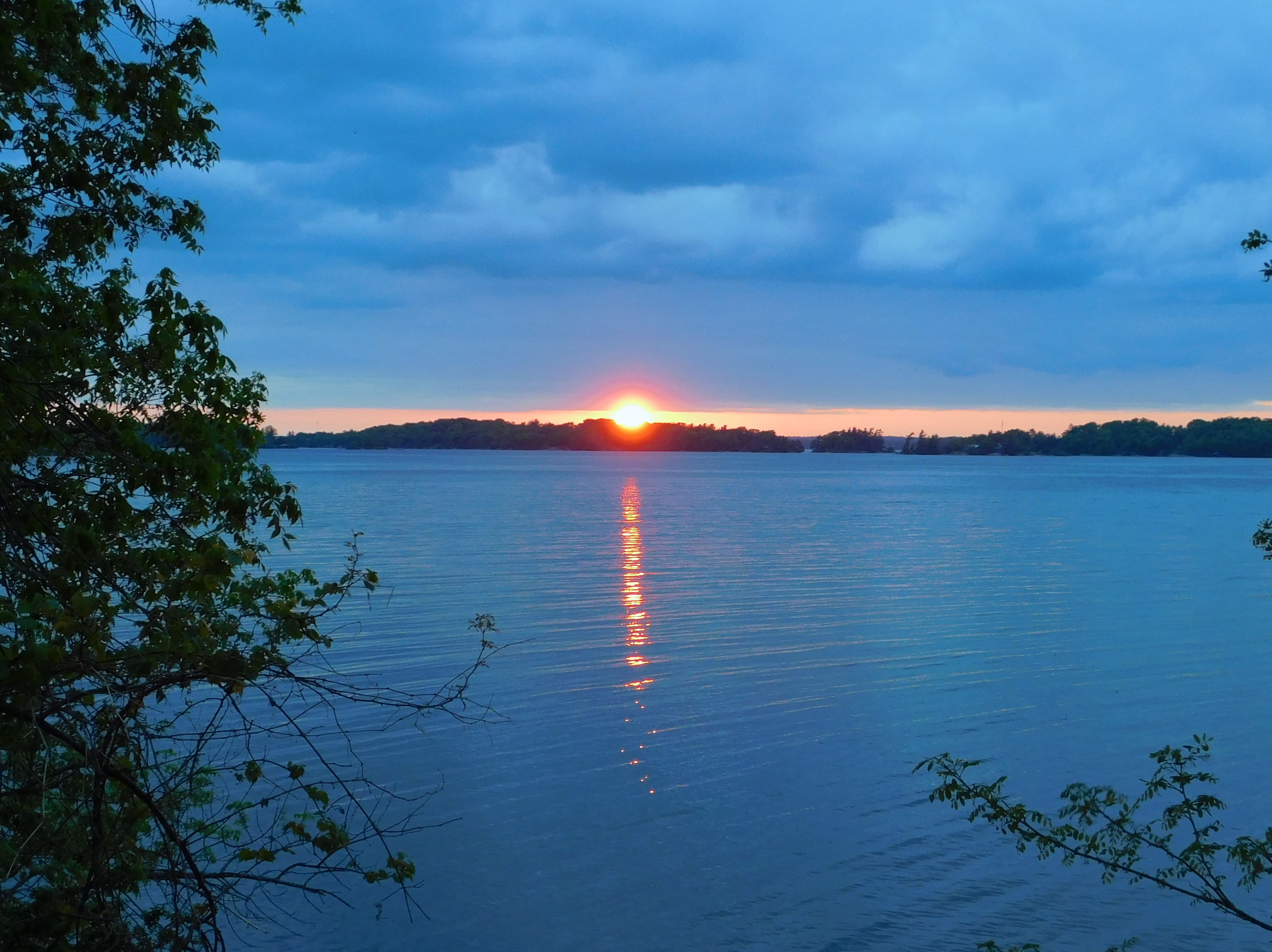 How to Fish the St. Lawrence River: A Beginner's Whole-River Guide to Smallmouth, Muskie, and Pike