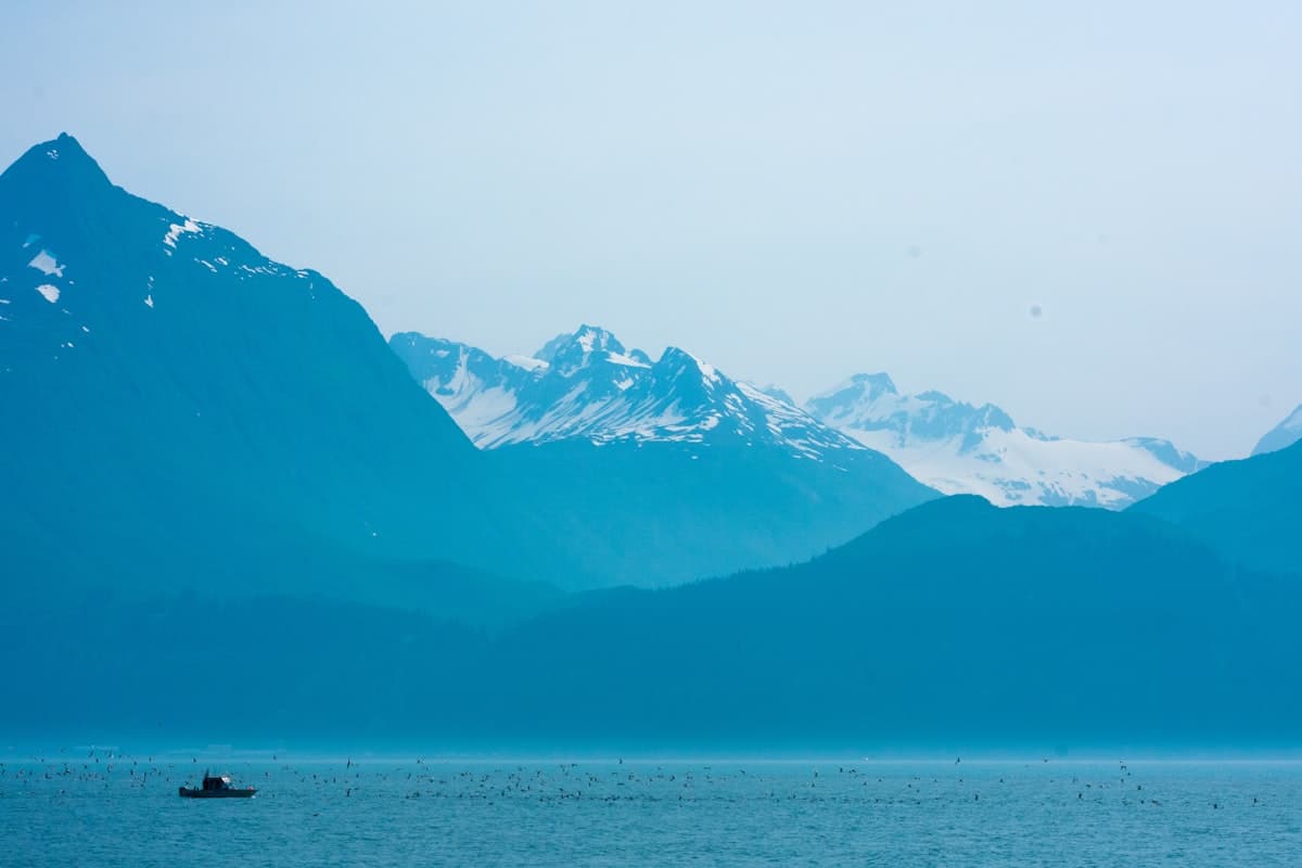 How to Fish Valdez, Alaska: Roadside Salmon and Prince William Sound