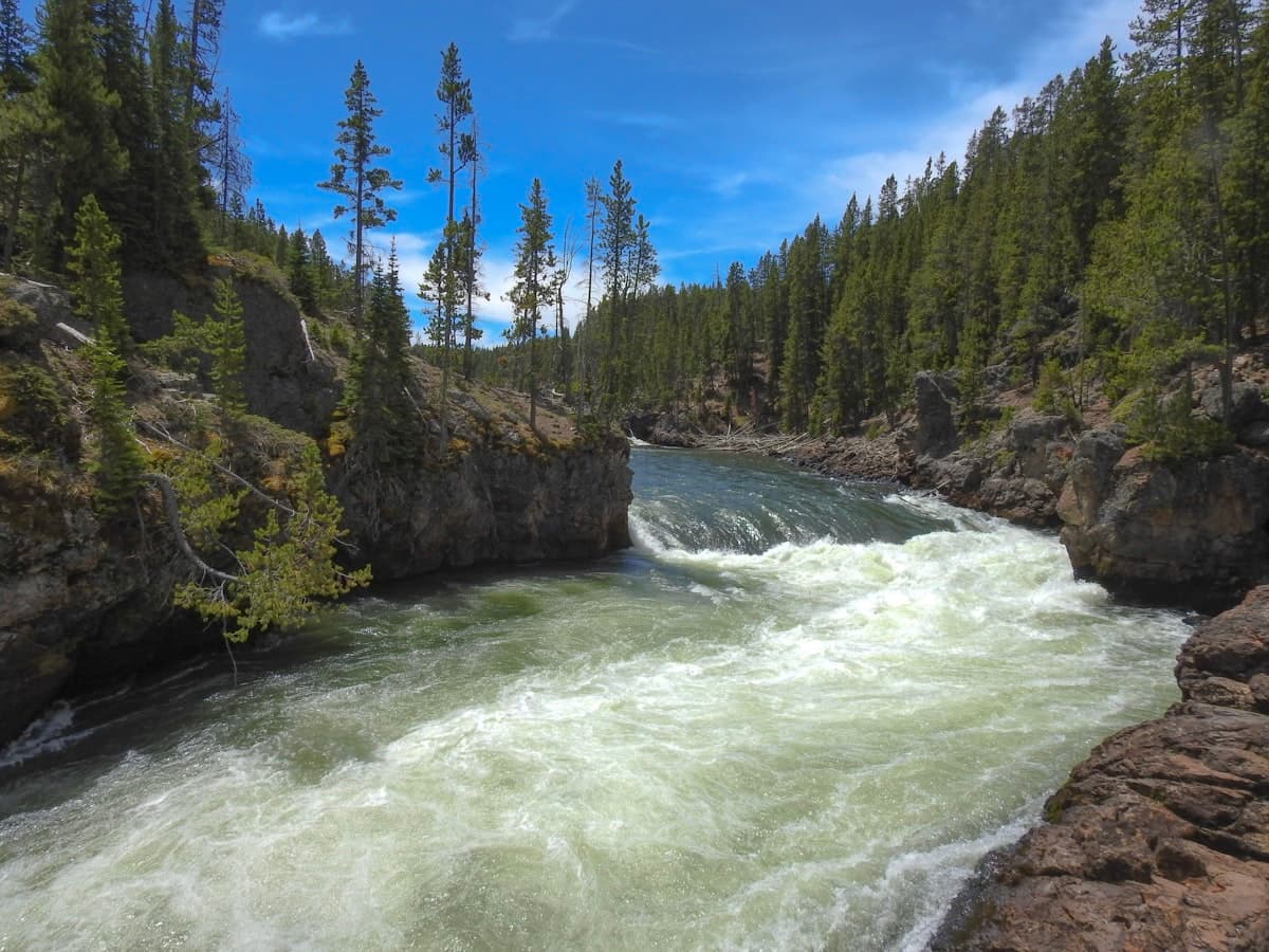How to Fish West Yellowstone, Montana: The Madison System and the Park
