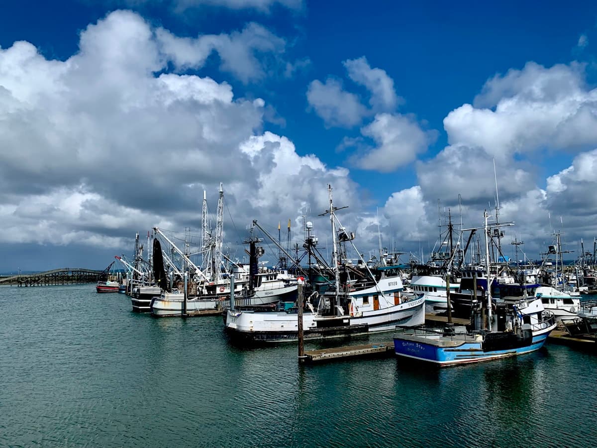 How to Fish Westport, Washington: Salmon, Tuna, and the Charter Fleet