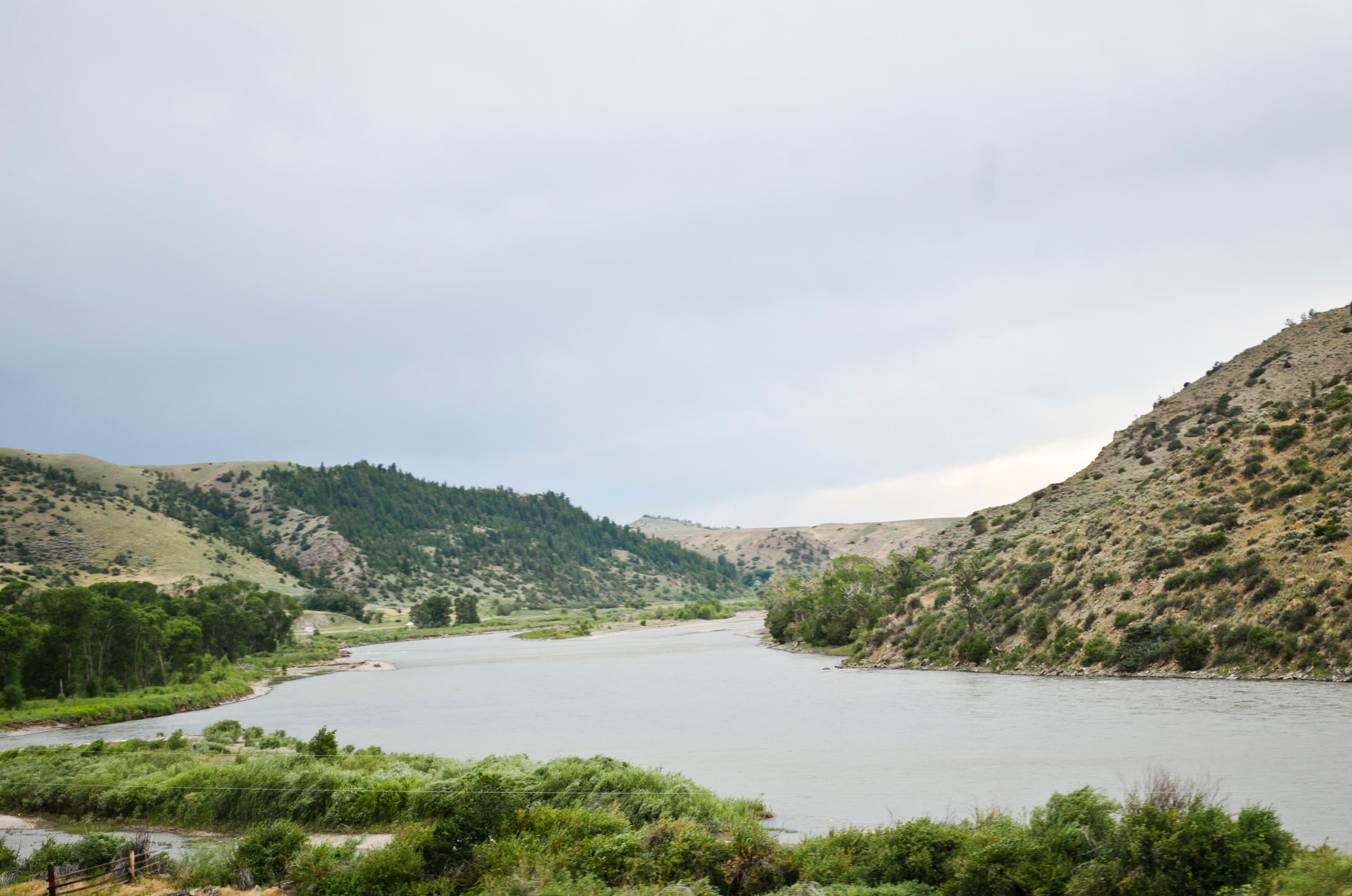 How to Fish the Yellowstone River: A Beginner's Guide to Cutthroat, the Salmonfly Hatch, and the Longest Wild River in the Lower 48