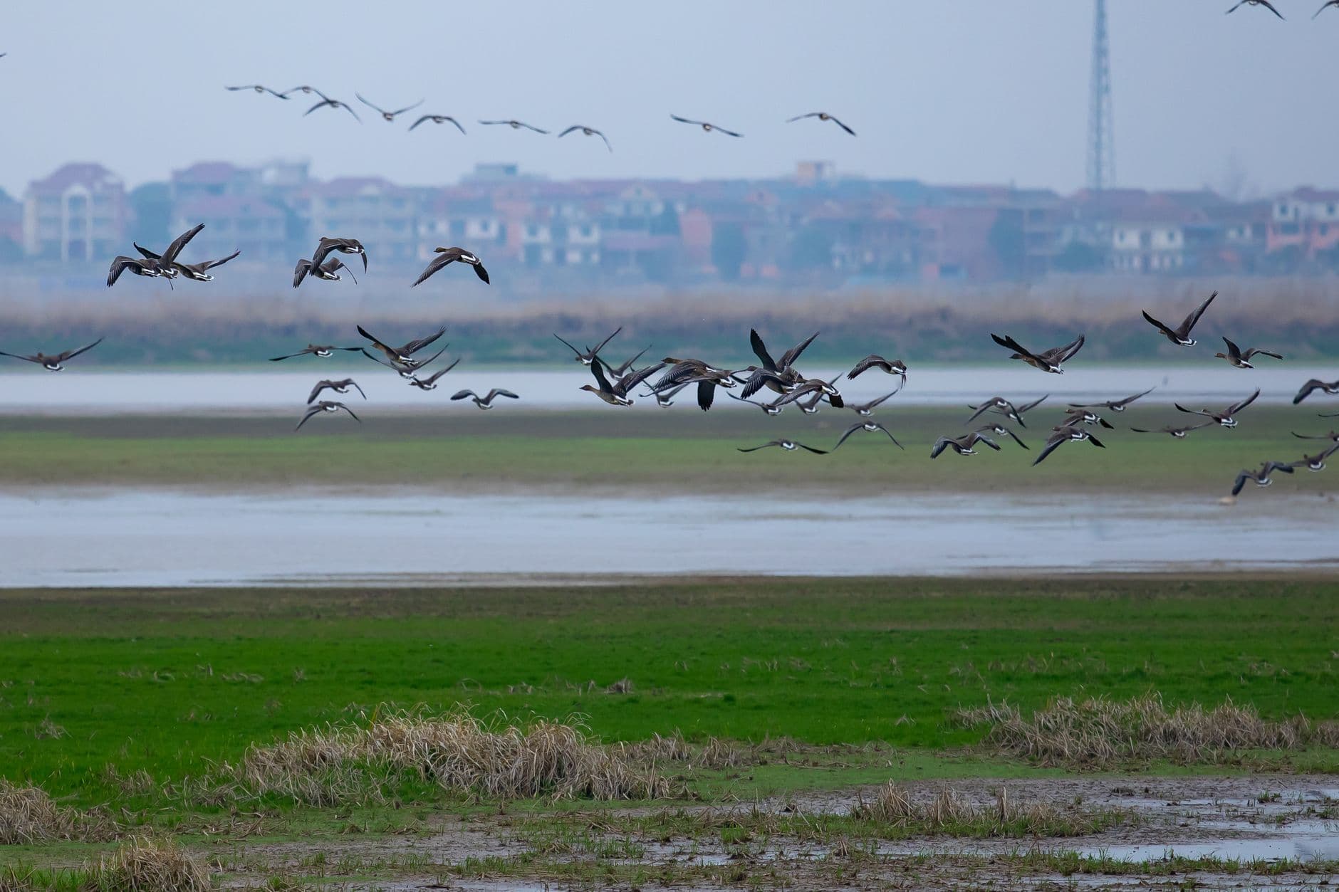 Klamath Basin: America's First Waterfowl Refuge Is Running Out of Water