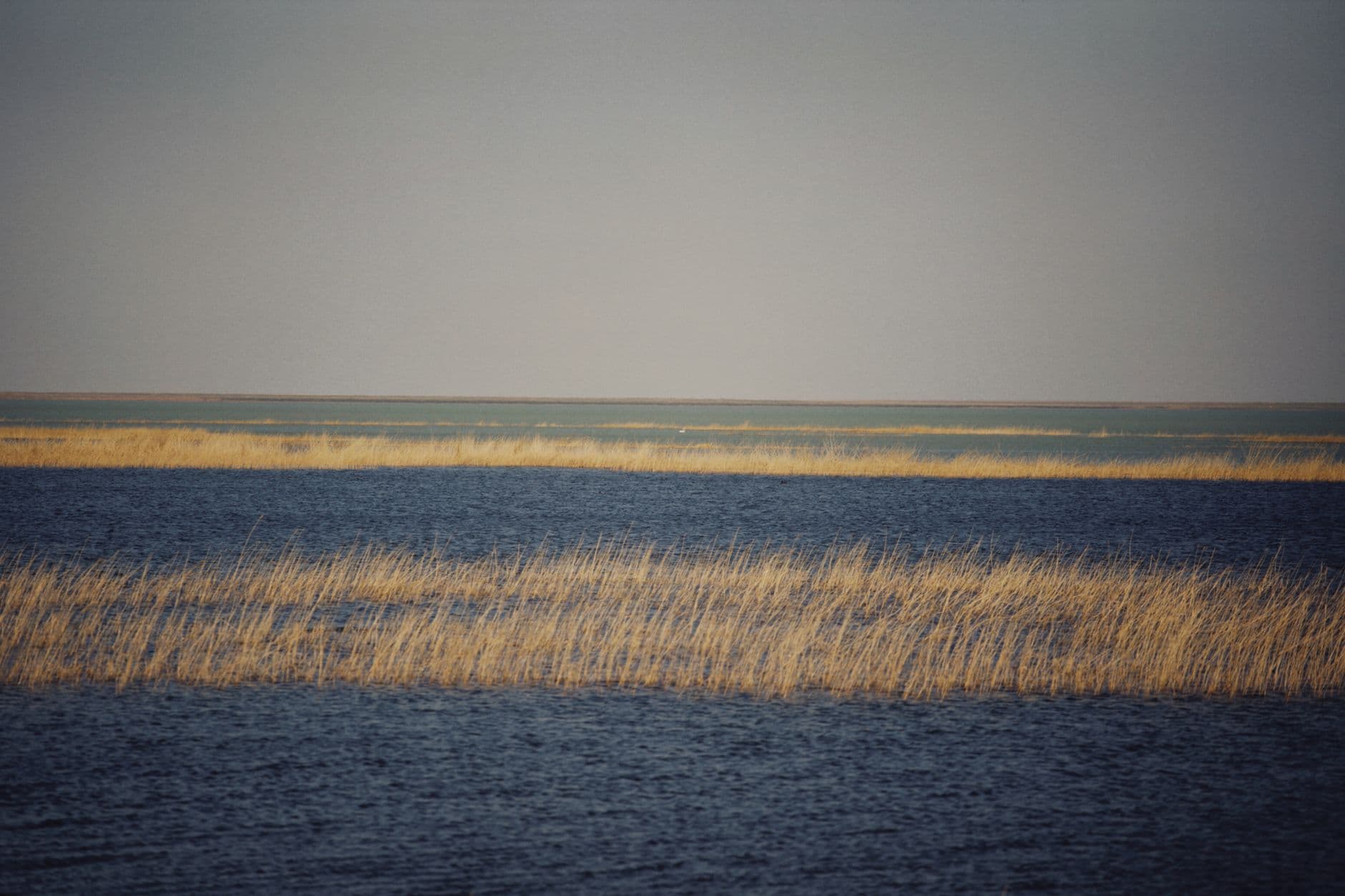 Malheur: 42 Miles of Gravel and the Best Birding in the Great Basin