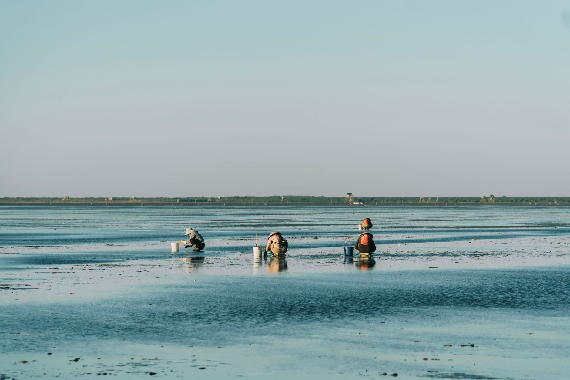 The Thirty Hours a Year When the Clams Are Reachable