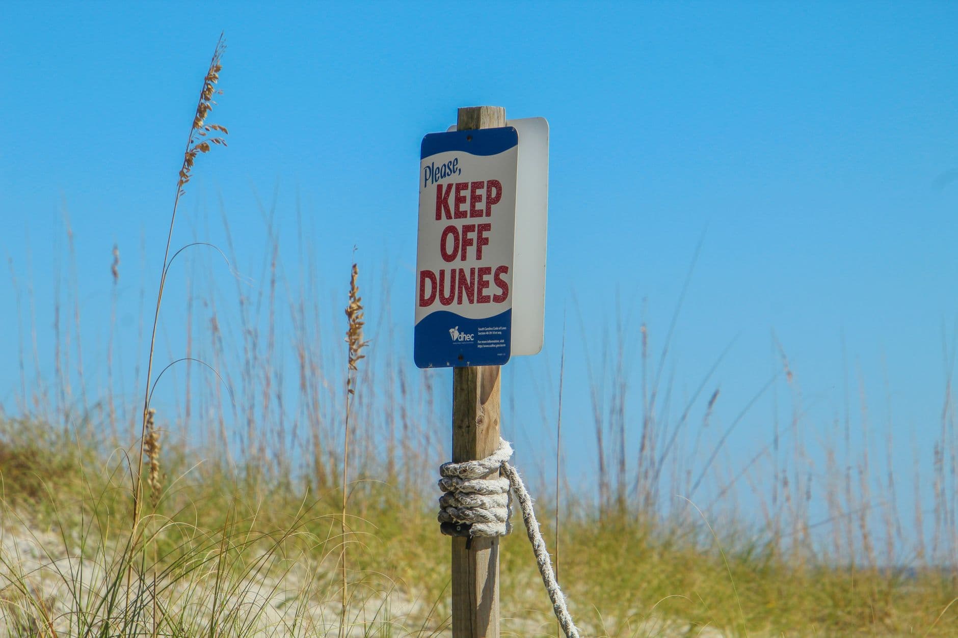 The Beach Closes in March Because the Birds Got There First