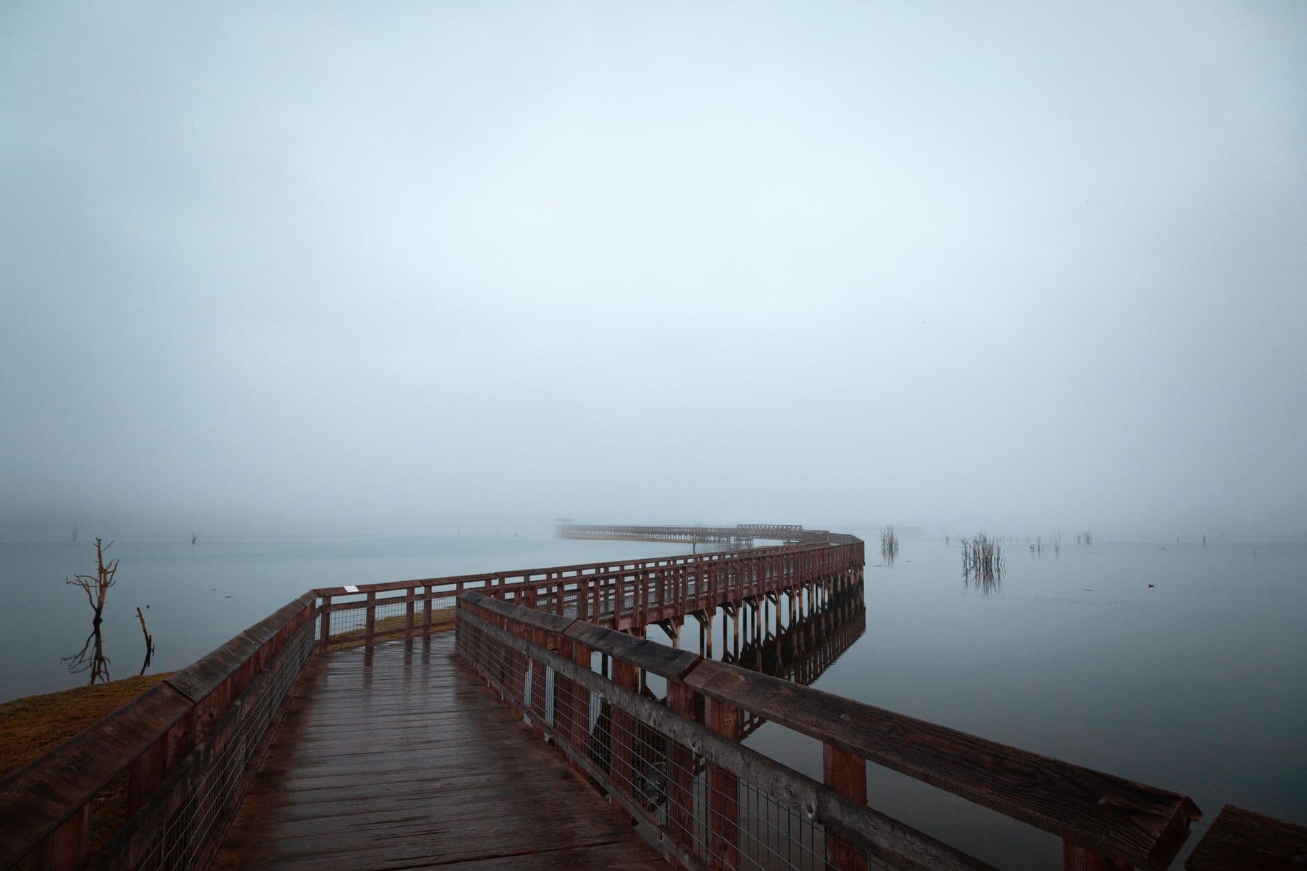 Nisqually: The Refuge Where You Have to Check the Tide First