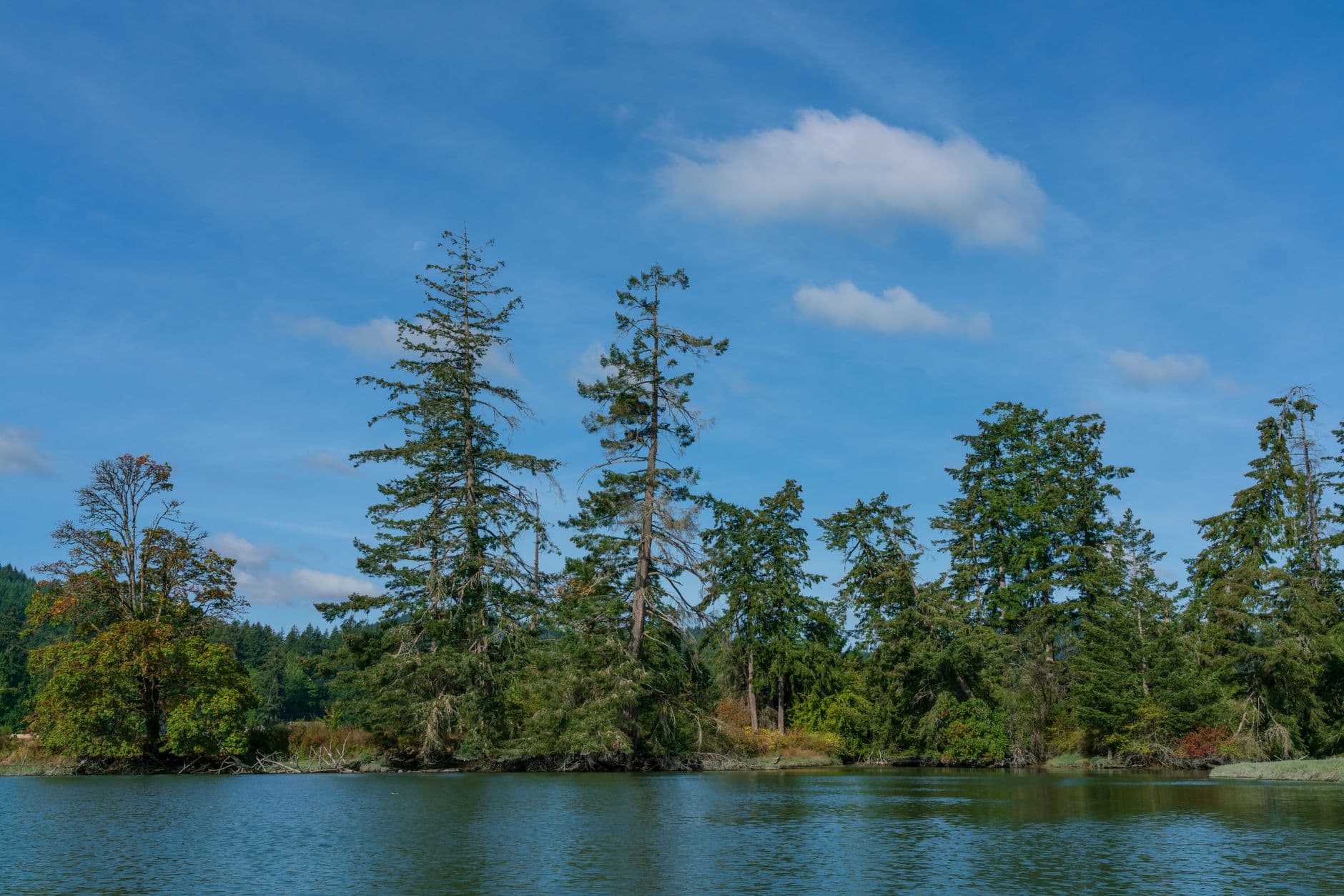 Three Ecosystems, One Peninsula: Day Hiking the Olympics
