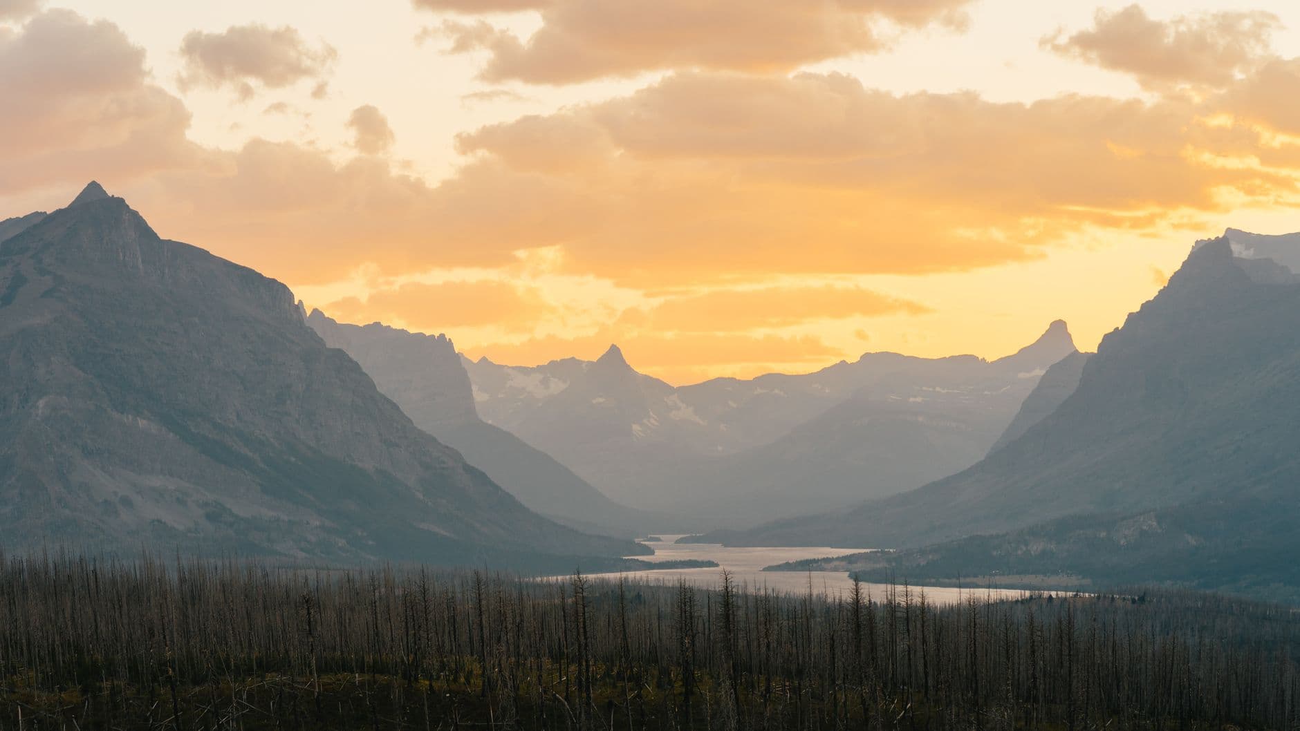 A Day in Glacier: Highline, Avalanche Lake, or Logan Pass. Pick One