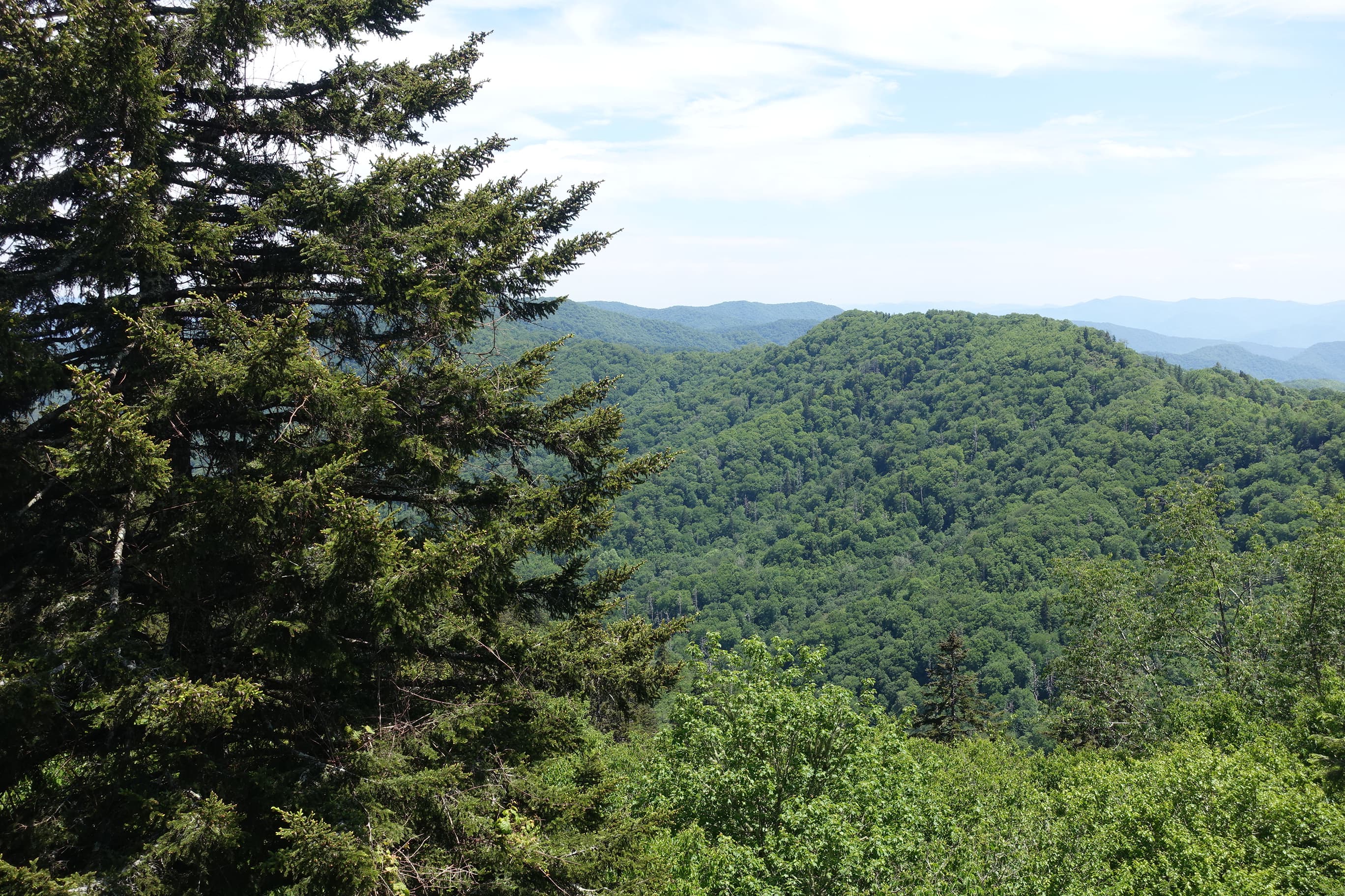 One Day in the Smokies: Skip the Cades Cove Loop, Hike Instead