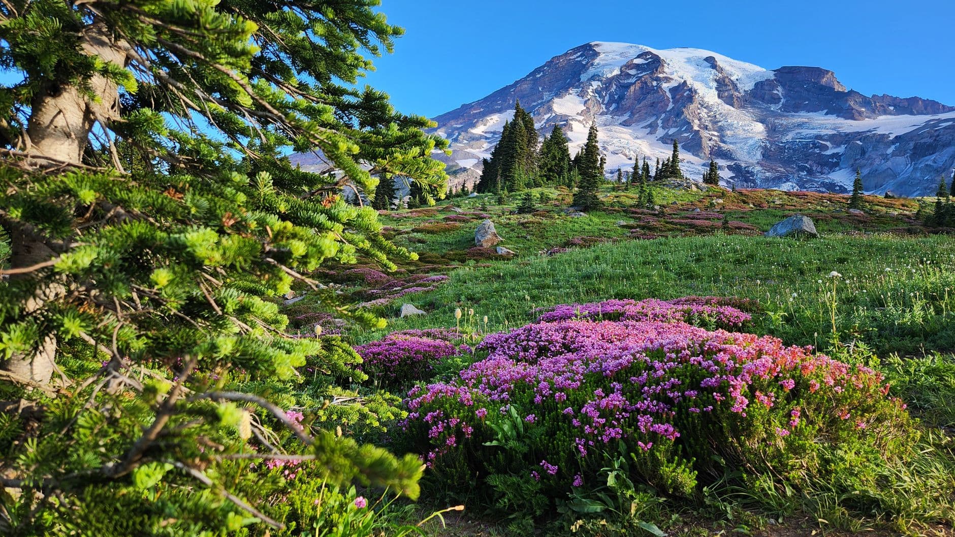 A Single Day at Rainier: Why Paradise Isn't Always the Right Answer