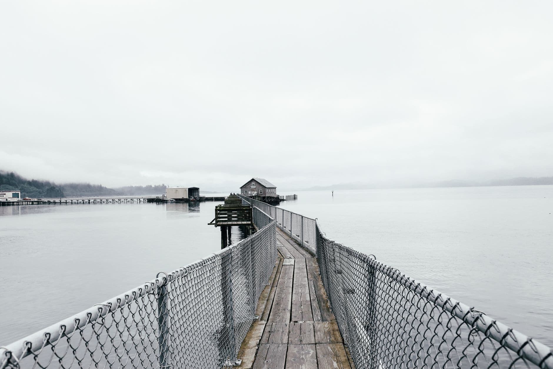 Oregon Will Not Let You Pick an Oyster