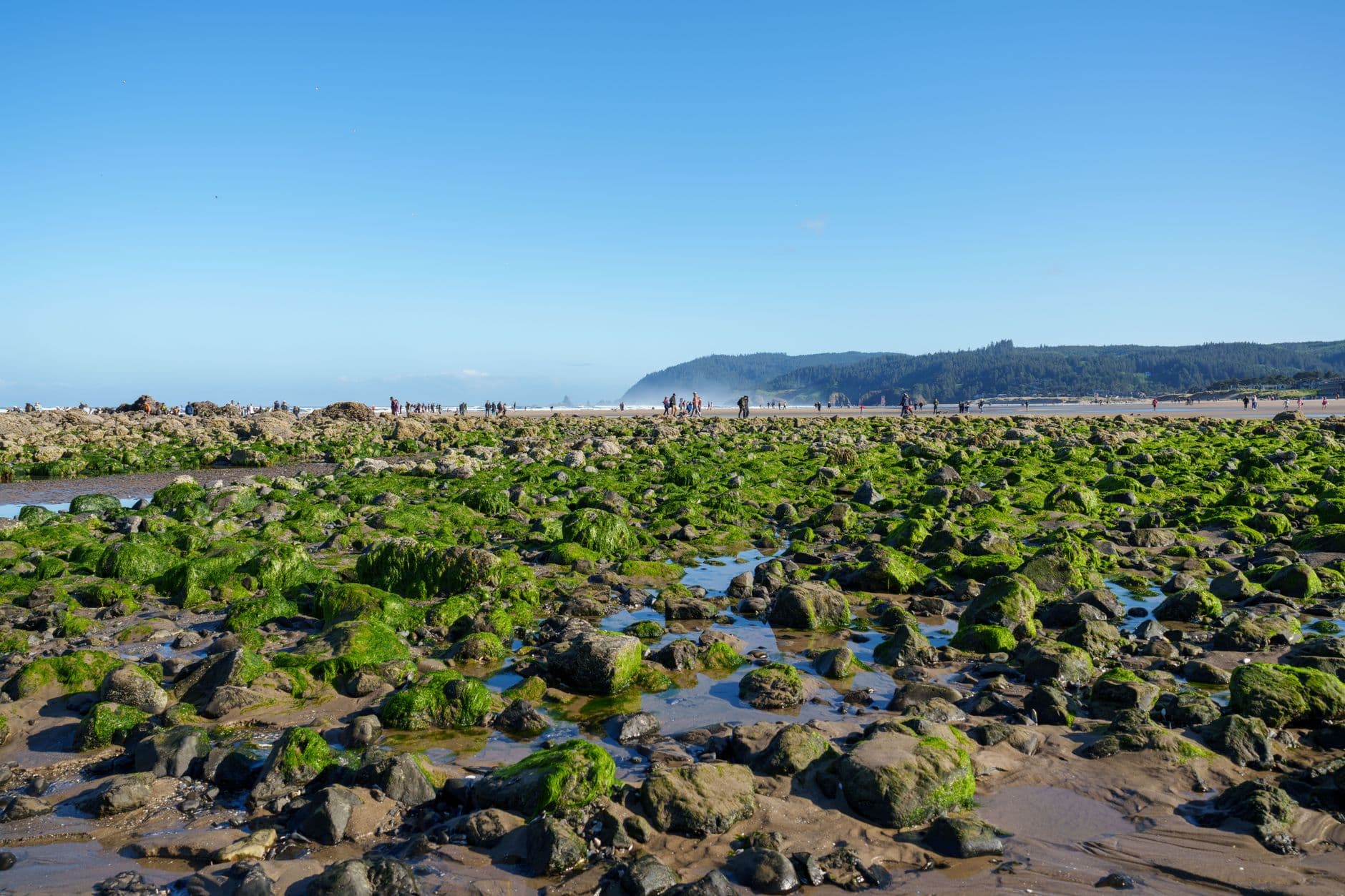 Washington Sold Its Beaches, and Nobody Marked Them