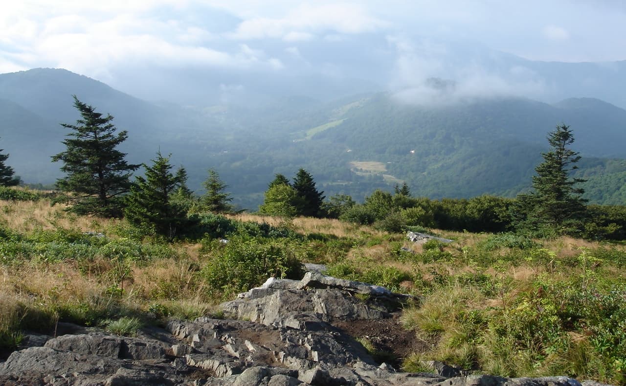 The Roan Highlands: Grassy Balds at 6,000 Feet on the Tennessee-North Carolina Line
