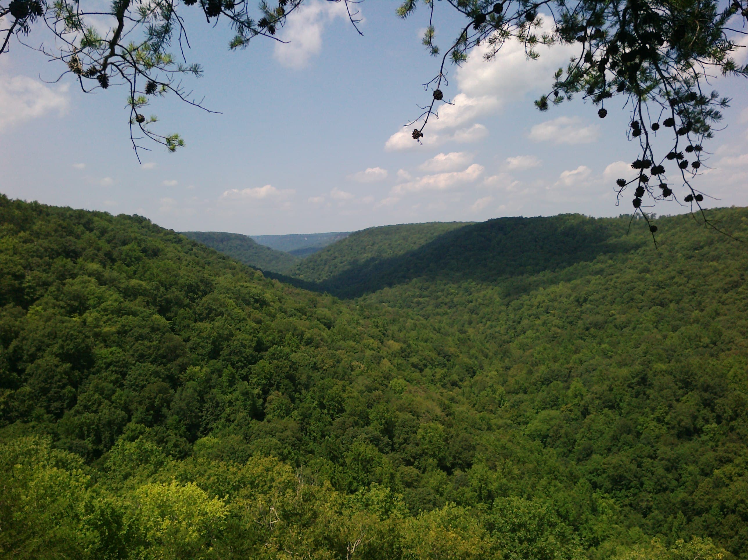 Savage Gulf: 19,000 Acres of Gorge on Top of the Cumberland Plateau