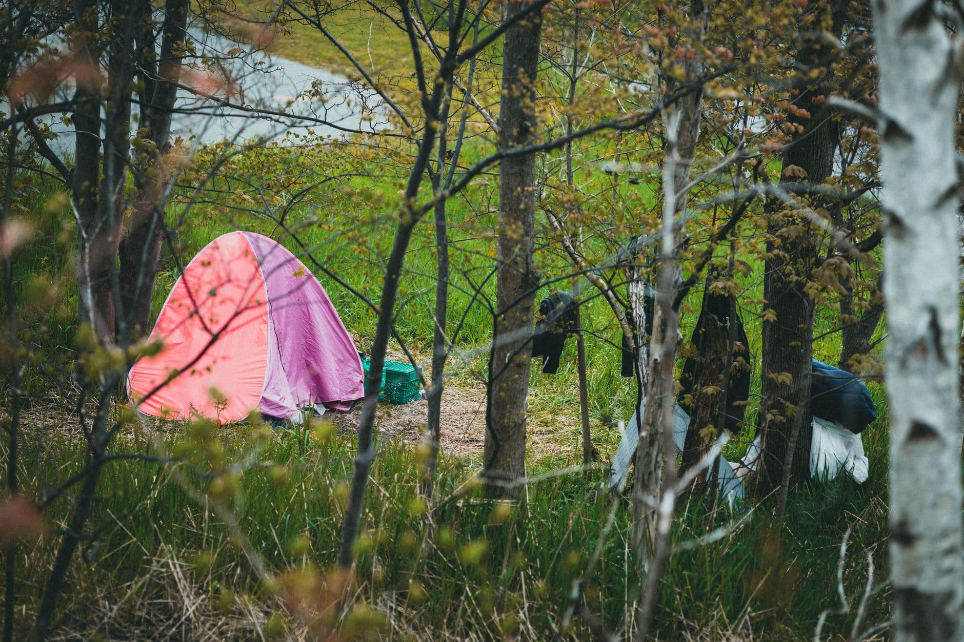 State Park Campsites Sell Out Faster Than National Parks