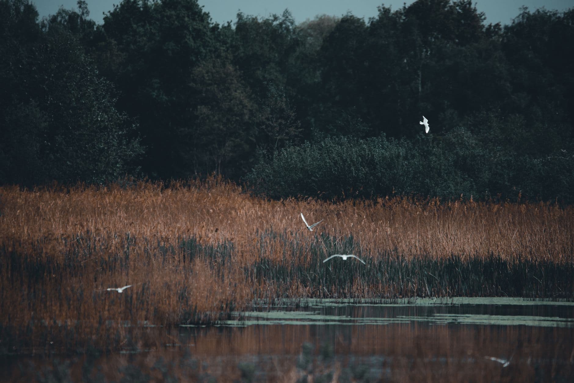 A Wildlife Refuge Is Not a Park, and the Rules Prove It