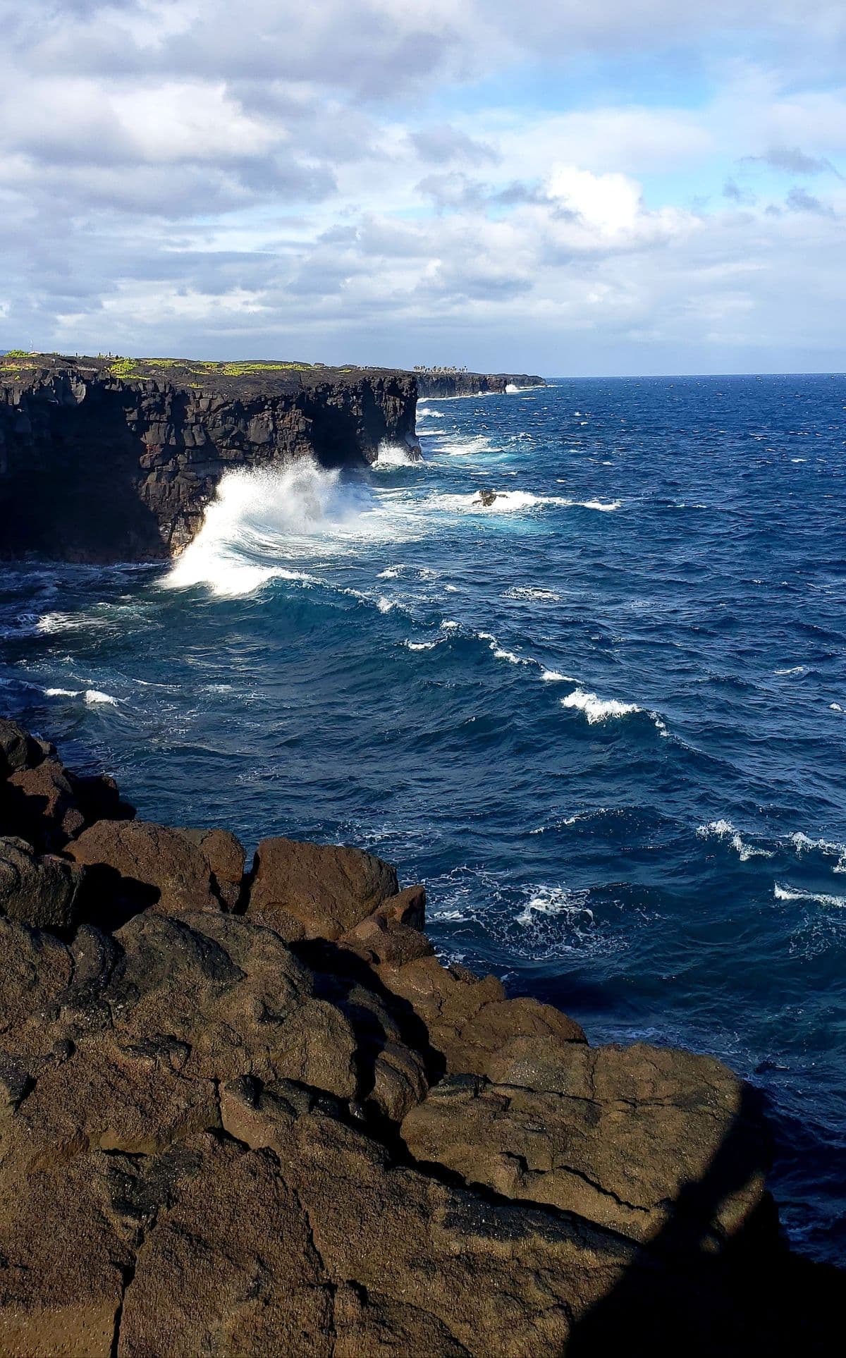 Fly Fishing Channel Islands National Park: Calico Bass, Kelp Forests, and Southern California's Wildest Saltwater