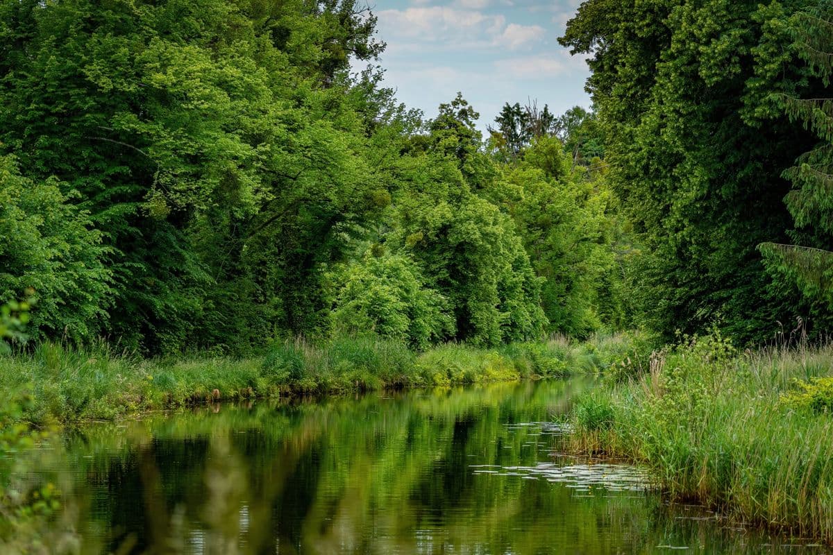Fly Fishing Cuyahoga Valley National Park: Steelhead in the Burning River, Carp on the Flats, and the Comeback That Changed American Environmental Law