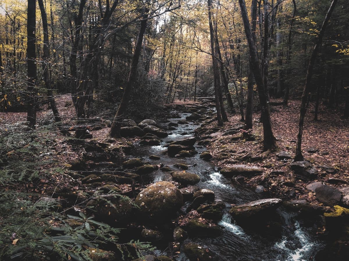 Fly Fishing the Farmington River: New England's Best Trout Stream, Two Hours From Manhattan