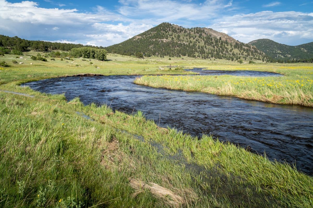 Fly Fishing Great Sand Dunes National Park: Native Cutthroat, Backcountry Creeks, and the Most Surreal Landscape in Colorado