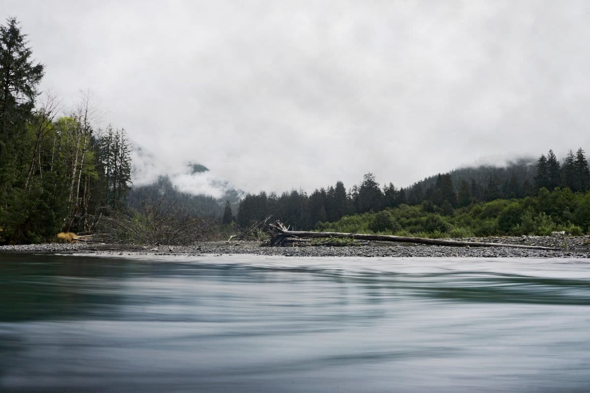 Fly Fishing the Olympic Peninsula: Wild Steelhead in the Rainforest, the Rivers That Define the Sport, and Why They Need Us Now