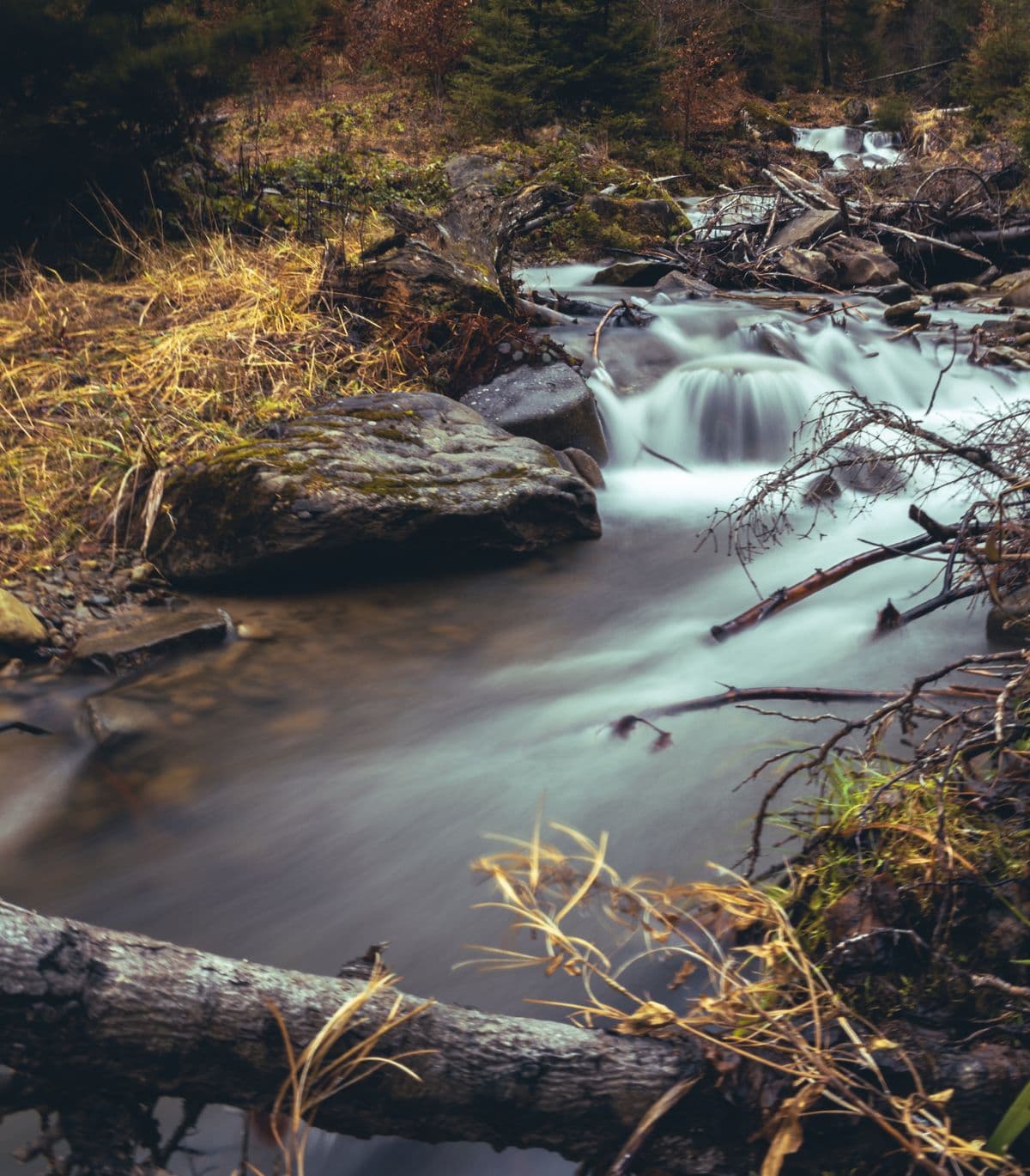 Fly Fishing Pennsylvania's Limestone Spring Creeks: Where American Fly Fishing Was Born