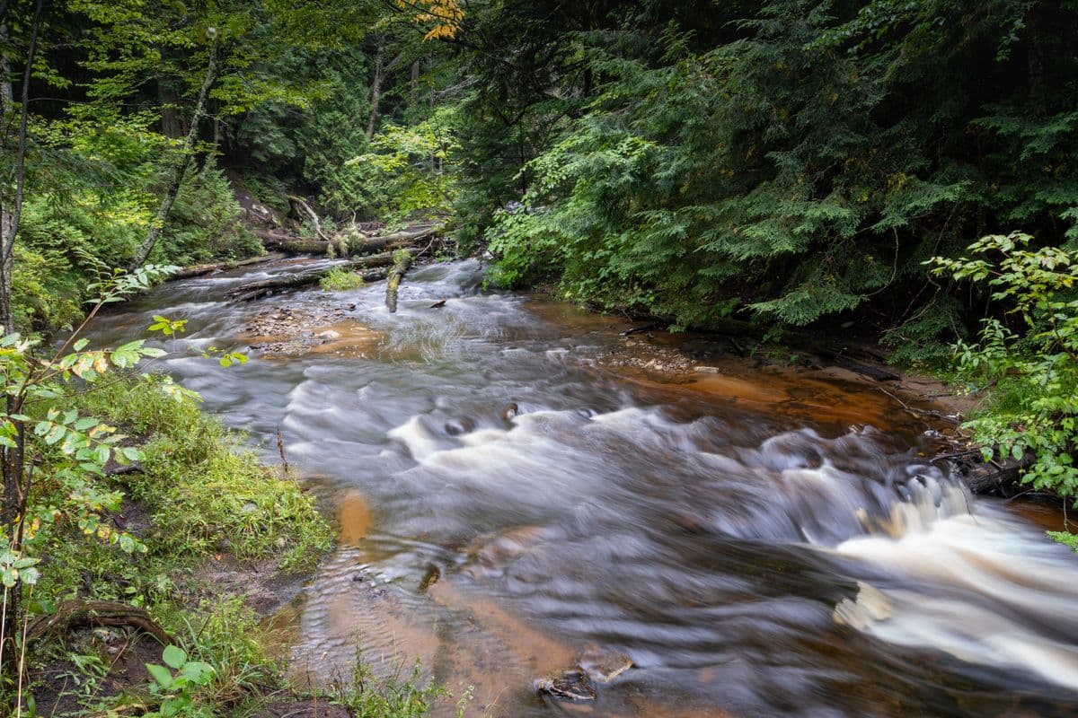 Fly Fishing the Pere Marquette: Great Lakes Steelhead, the Hex Hatch, and a River That Fishes Every Month of the Year