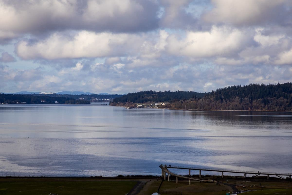 Fly Fishing Puget Sound: Beach Fly Fishing for Sea-Run Cutthroat, Coho, and the Best Urban Fishery You've Never Heard Of