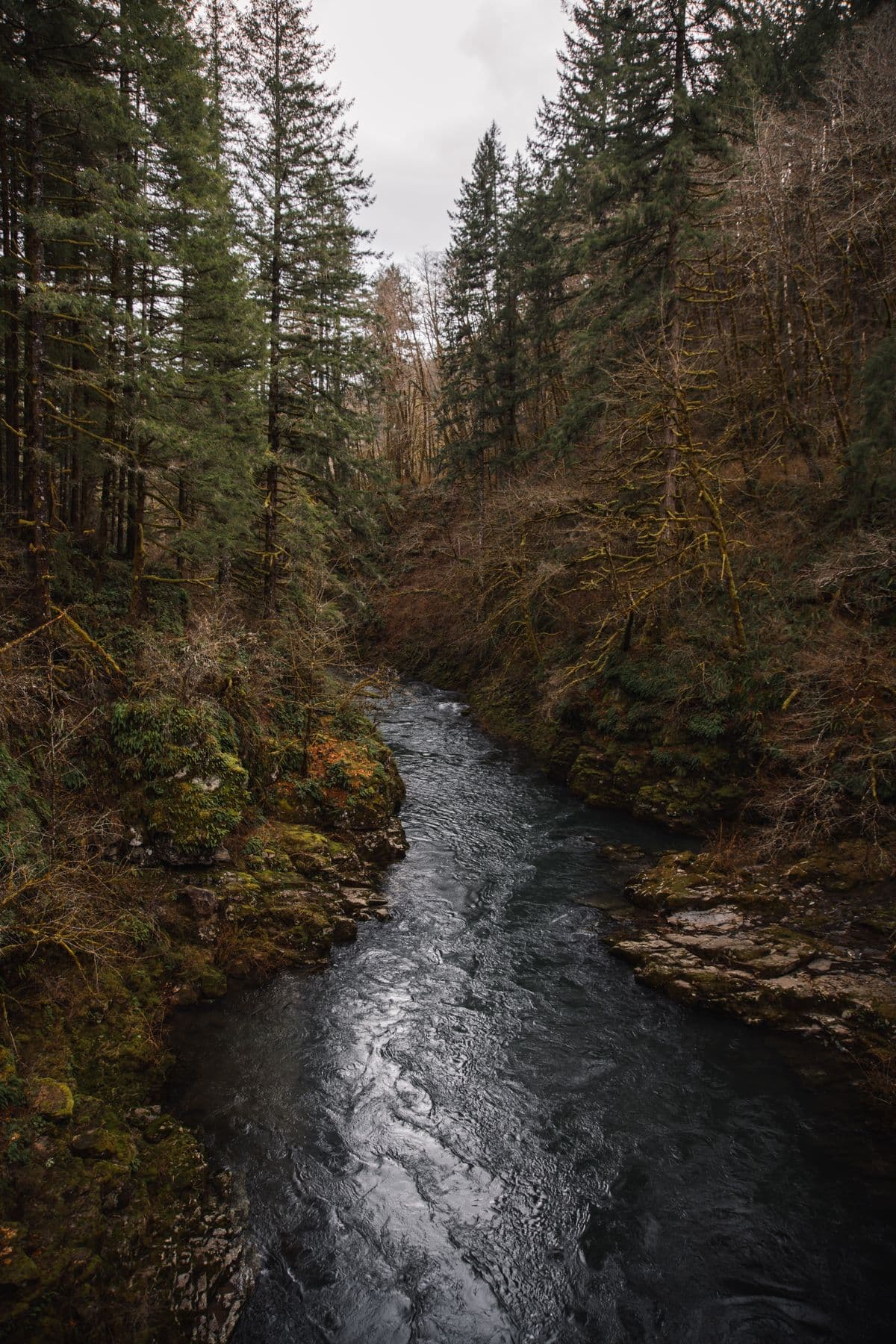 Fly Fishing the Skykomish River: Steelhead, Salmon, Spey Rods, and Seattle's Backyard Big-Fish River