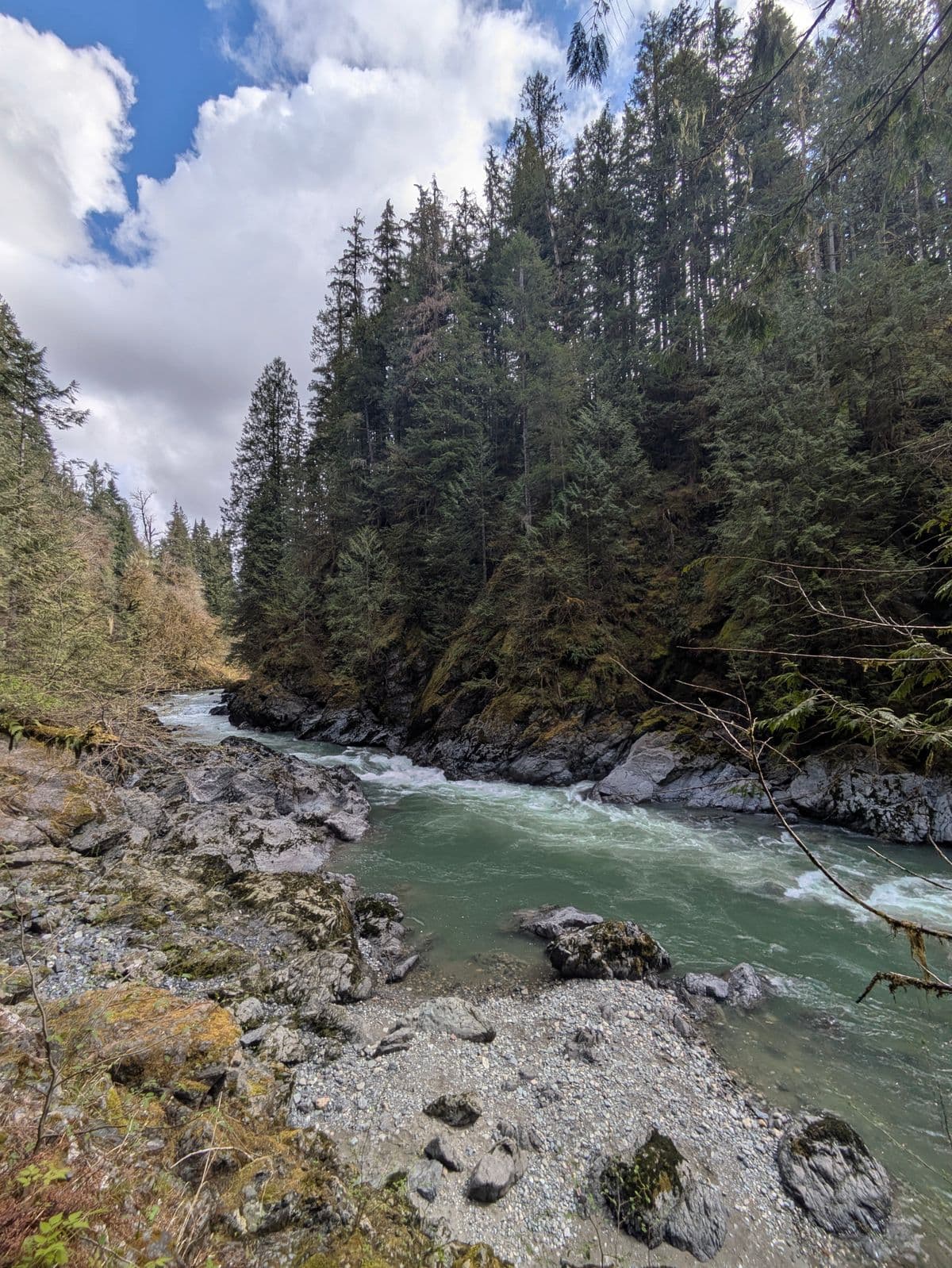 Fly Fishing the Snoqualmie River: Seattle's Backyard Trout Stream and the River You Should Already Be Fishing