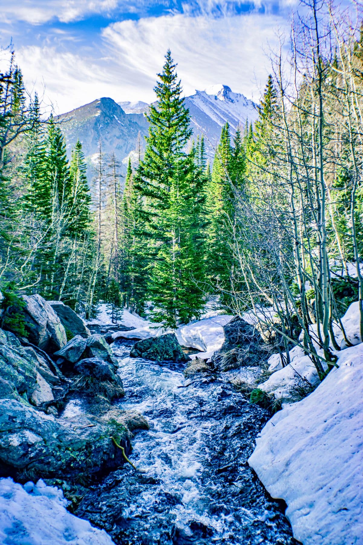 Fly Fishing Telluride: The San Miguel, Four Rivers Within an Hour, and the High-Country Water Above 10,000 Feet