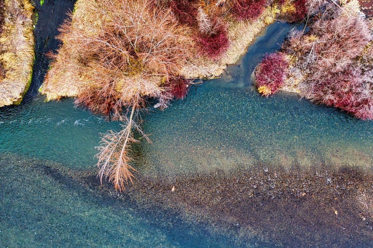 Fly Fishing the Yakima River: Washington's Only Blue Ribbon Trout Stream, 78 Miles of Dry-Fly Heaven