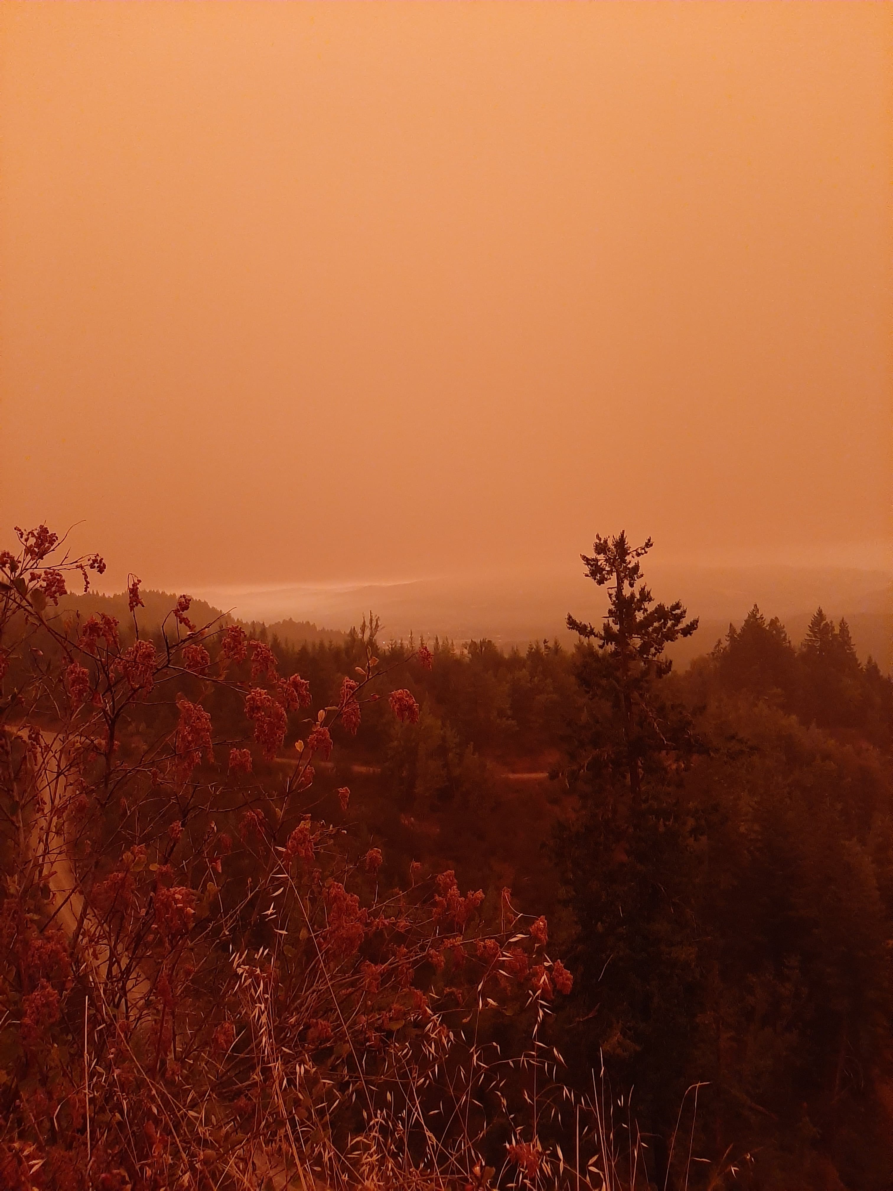 How to Read a Wildfire Smoke Map