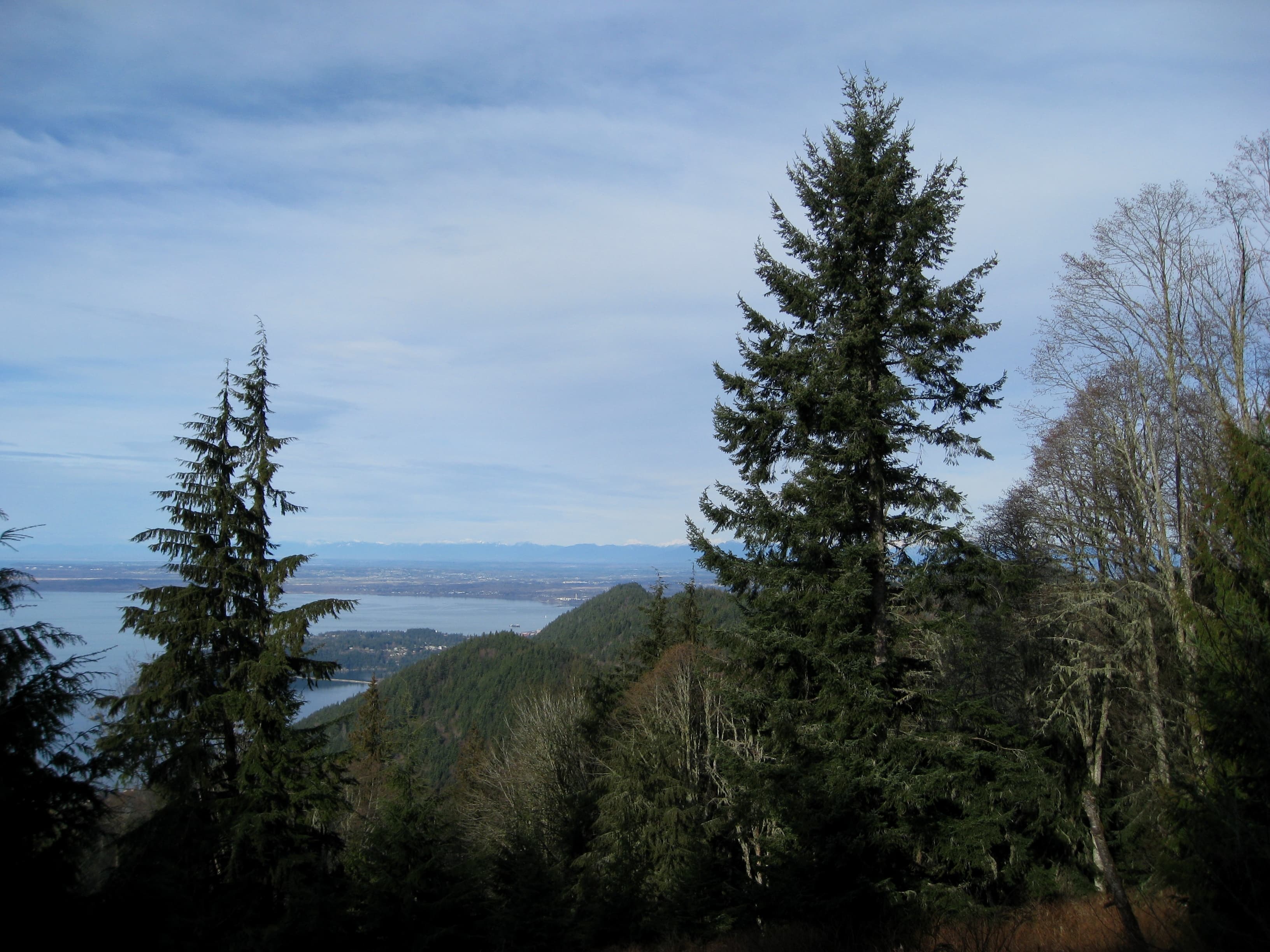 Larrabee Came First, and Chuckanut Is Still the Reason
