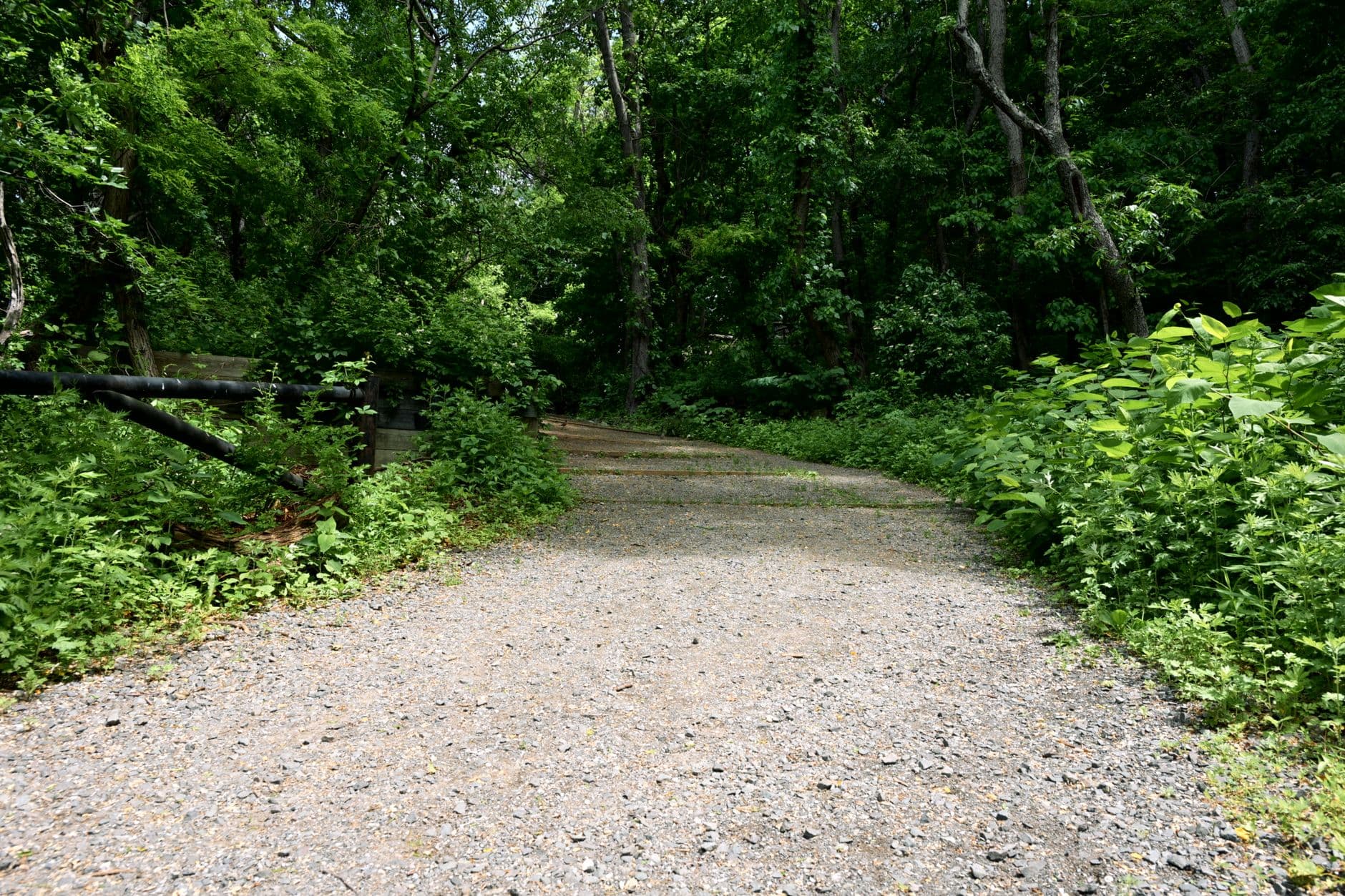 A 251-Mile Rail Trail Crosses Washington and Almost Nobody Finishes It