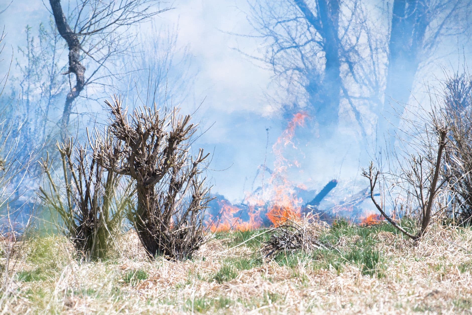 Red Flag Warning: What It Means and What It Does Not