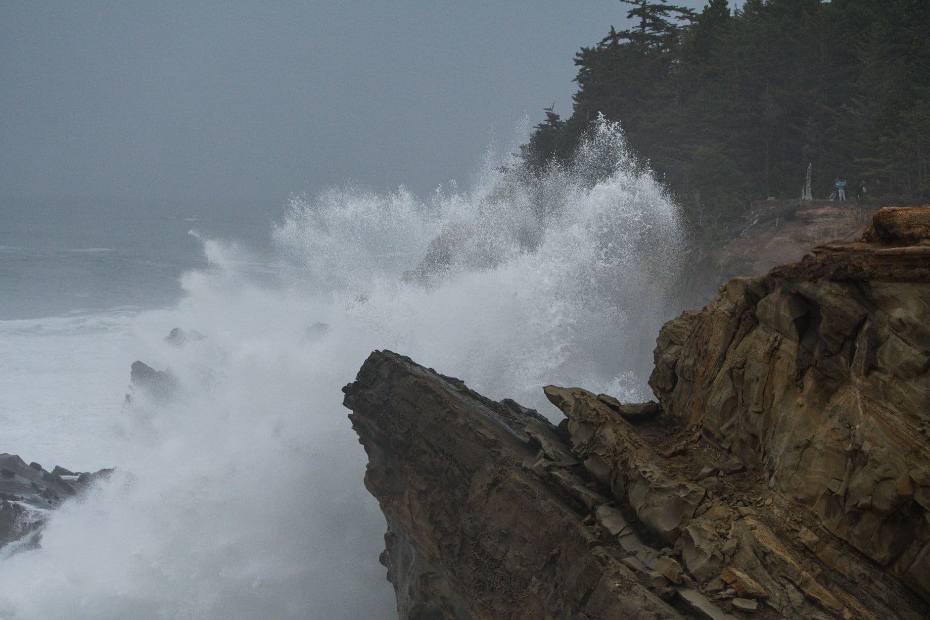 A Shipping Baron's Garden on a Cliff That Throws Waves Over It