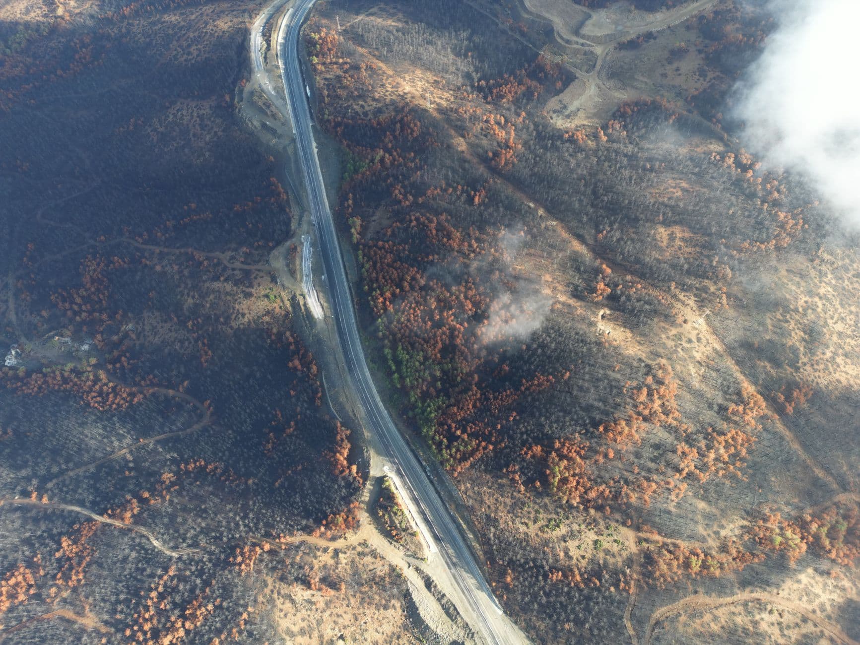 Level 1, Level 2, Level 3: What Wildfire Evacuation Notices Actually Mean