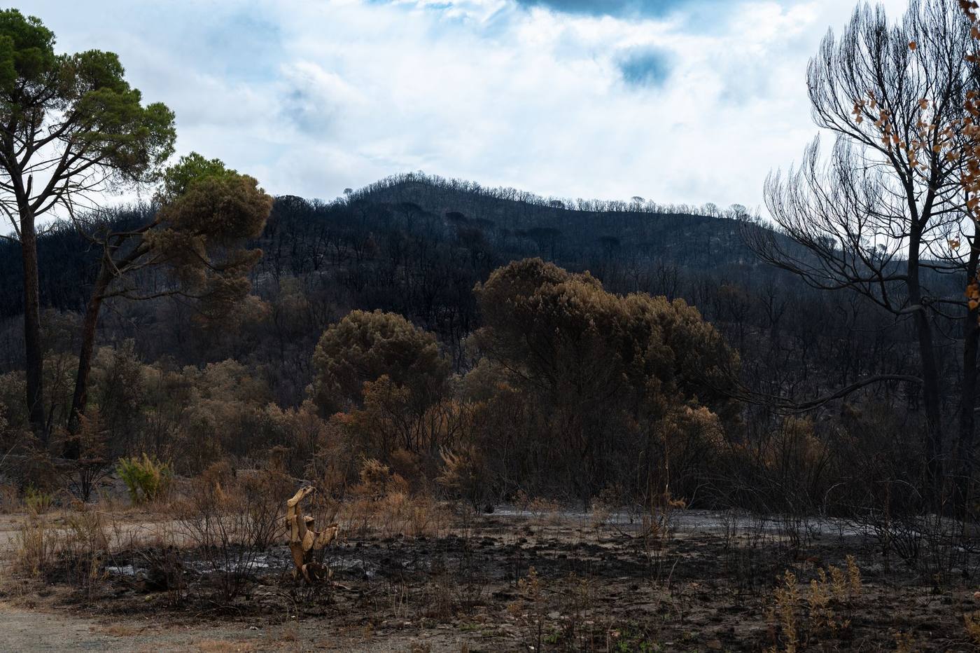 What's new in Guidepole Fire 1.2.1